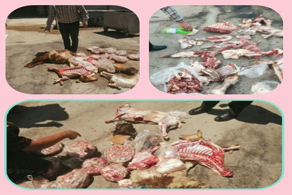 کشف گوشت غیر مجاز