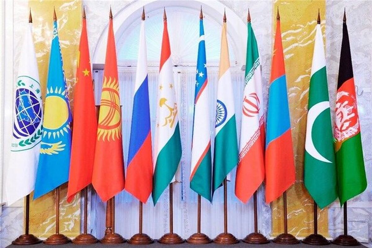 سازمان همکاری شانگهای