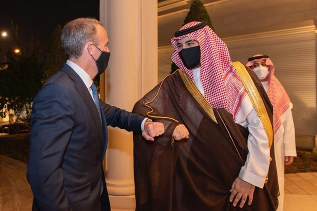 دومینیک راب
