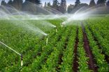 تجهیز از اراضی چهارمحال و بختیاری به سامانه‌های نوین آبیاری