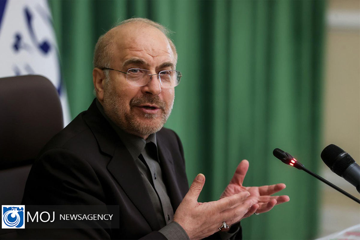 رئیس مجلس شورای اسلامی