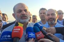 آغاز کاشت 200 هکتار نهال حرا در سواحل هرمزگان