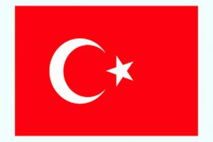 انتقاد ترکیه از برافراشتن پرچم کردستان عراق در استان کرکوک