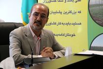 فیلم‌های جوجه‌کُشی مربوط به شهرهای دیگر است 