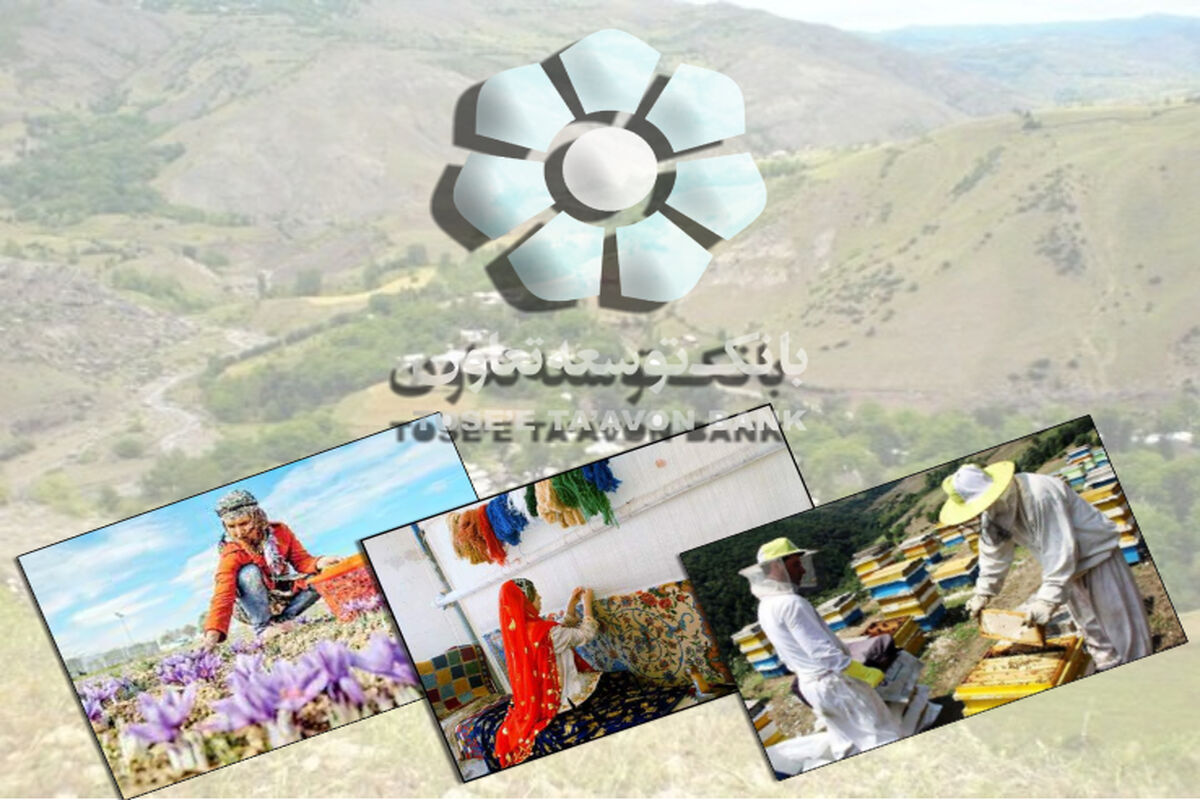 بانک توسعه تعاون