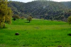 بیش از ۳ هزار میلیارد تومان سرمایه‌گذاری در پارک‌های جنگلی غرب مازندران جذب شد
