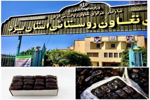 عرضه رطب مضافتی تنظیم بازار در محل بازارچه تعاون روستایی استان یزد