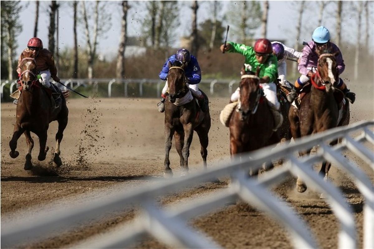 هفته دهم مسابقات اسبدوانی کورس پاییزه کشور در گنبدکاووس برگزار شد‌