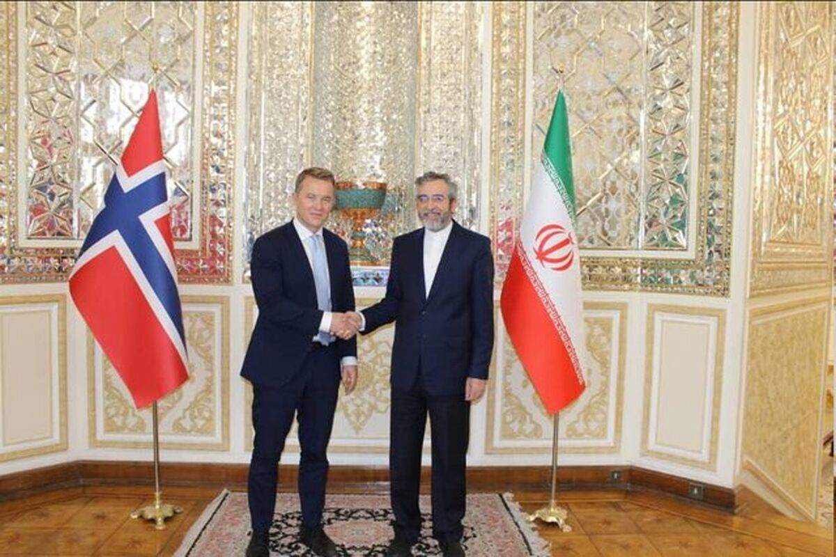 یازدهمین دور نشست مشورت‌های سیاسی نروژ و ایران برگزار شد