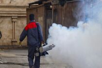 آغاز پویش «کیش؛ همدل و پاکیزه» با تمرکز بر مقابله با پشه آئدس
