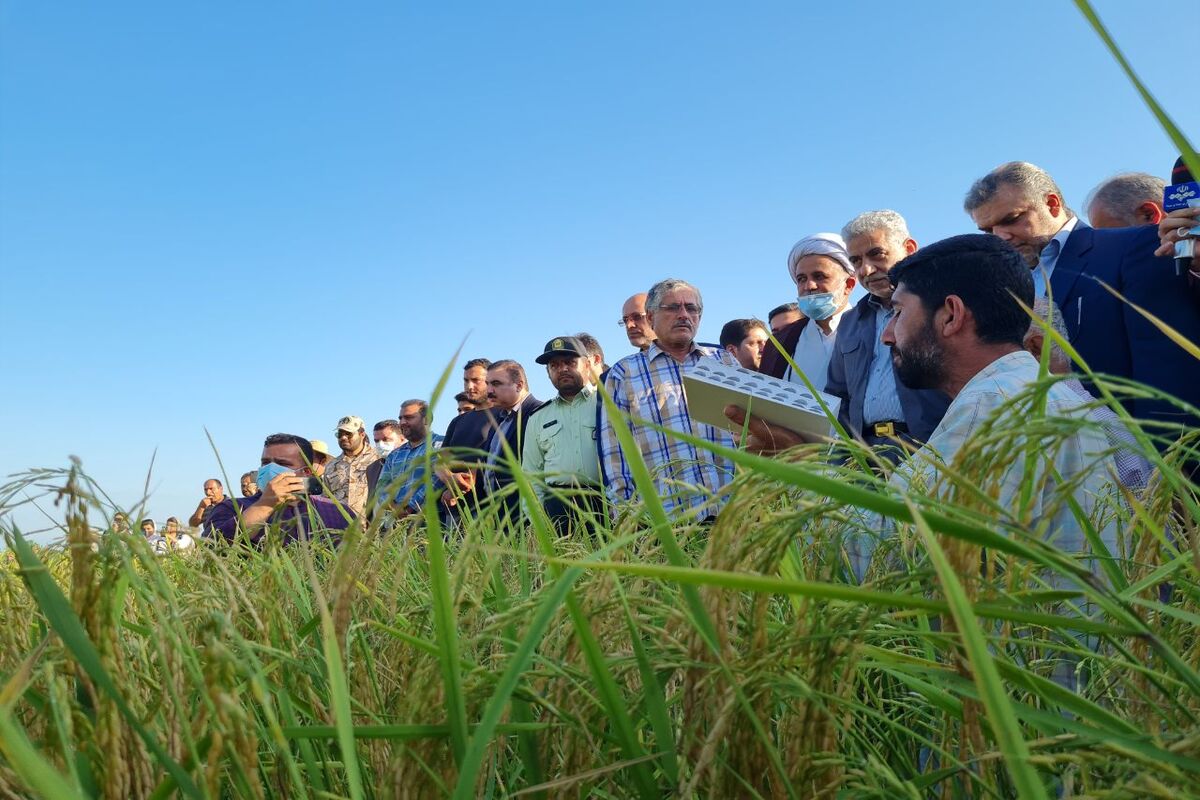 استاندار گیلان