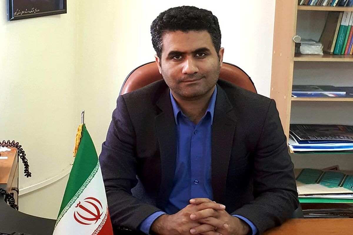 شریفی