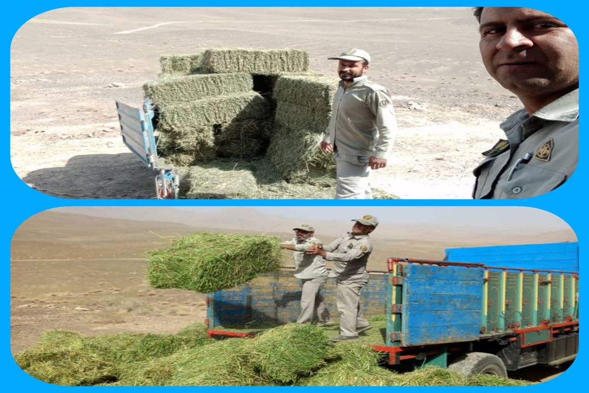 اهدای علوفه 1