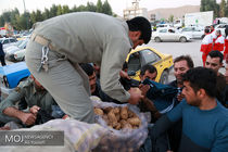 آماده سازی سبدهای غذایی ماهیانه برای زلزله زدگان 