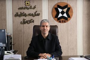 پرداخت بیش از ۲ هزار و ۶۸۶ میلیارد تومان از مطالبات گندمکاران اردبیل