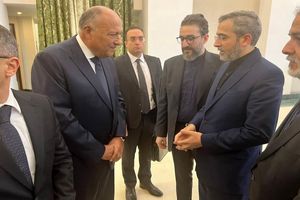 Unprecedented travel of Egypt's FM to Iran