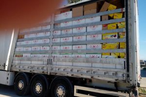 ماموران گمرک در مرز مهران موفق به کشف ۲۰ تن تخم مرغ قاچاق شدند