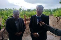 معاون وزیر جهاد کشاورزی پای درددل‌های باغداران مشگین‌شهر نشست