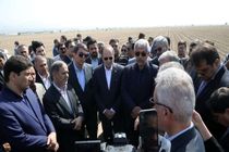 مجتمع‌های کشت و صنعت باید محور انتقال دانش به کشاورزان باشند