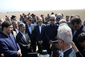 مجتمع‌های کشت و صنعت باید محور انتقال دانش به کشاورزان باشند