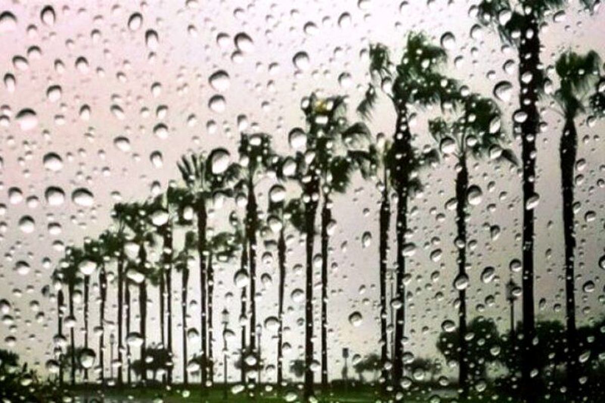 بارندگی 
