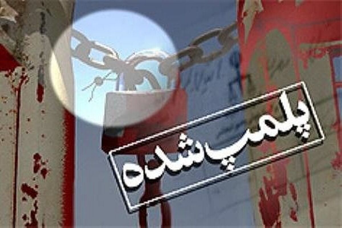 بازدید از واحد های صنفی