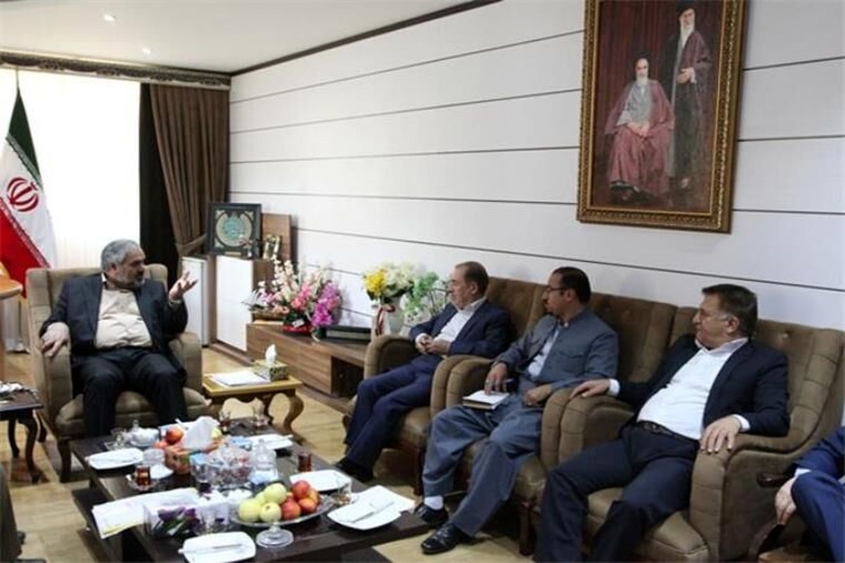 استاندار کردستان در دیدار با شورای عالی استانها