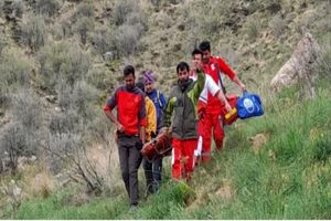 چیدن گیاهان دارویی جان یک نفر را گرفت