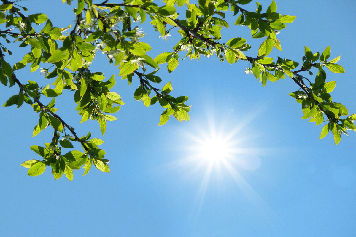 هوای سالم