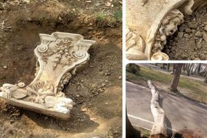 قطع درختان سعدآباد تکذیب شد