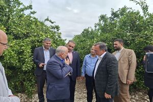 ضرورت عبور از کشاورزی سنتی/دشت‌ناز پیشران کشاورزی دانش‌بنیان در مازندران