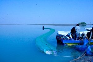 کشف مشک ماری با ۴۵ هزار لیتر گازوئیل قاچاق در آب‌های بندرعباس