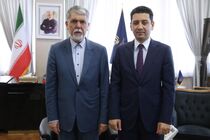 سینمای ایران و ارمنستان می‌تواند پایه جدی گسترش روابط فرهنگی هنری دو ملت قرار گیرد