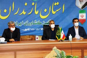 سامانه توزیع هوشمند کالا در مازندران راه اندازی شد/ ارسال رایگان کالا