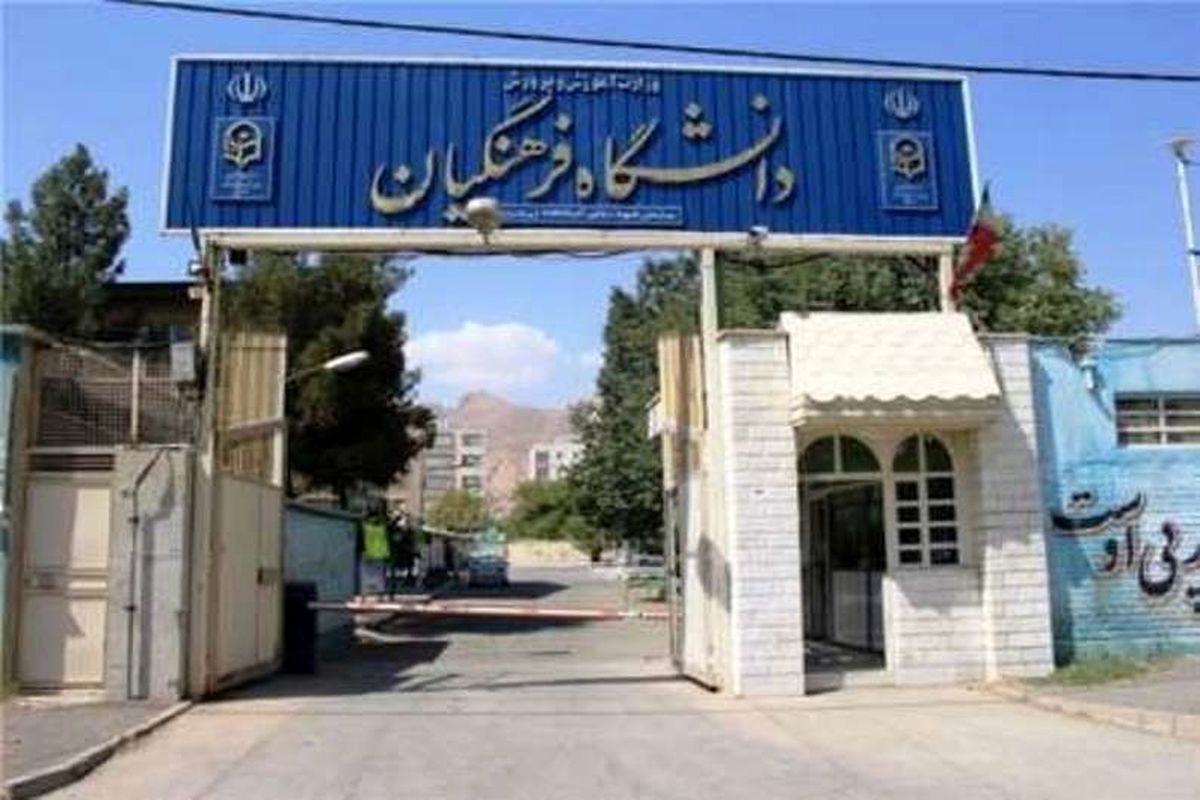 دانشگاه