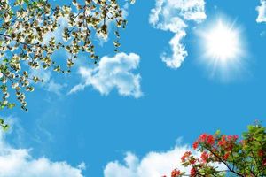 پیش‌بینی آسمانی صاف تا کمی ابری همراه با وزش باد تا پایان تعطیلات نوروزی