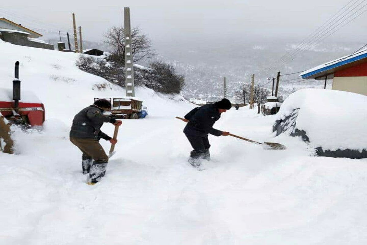 بارش برف در بخش کجور نوشهر