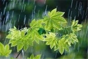 بارش 23 میلی متری باران در نطنز و بادرود