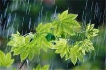 بارش 23 میلی متری باران در نطنز و بادرود