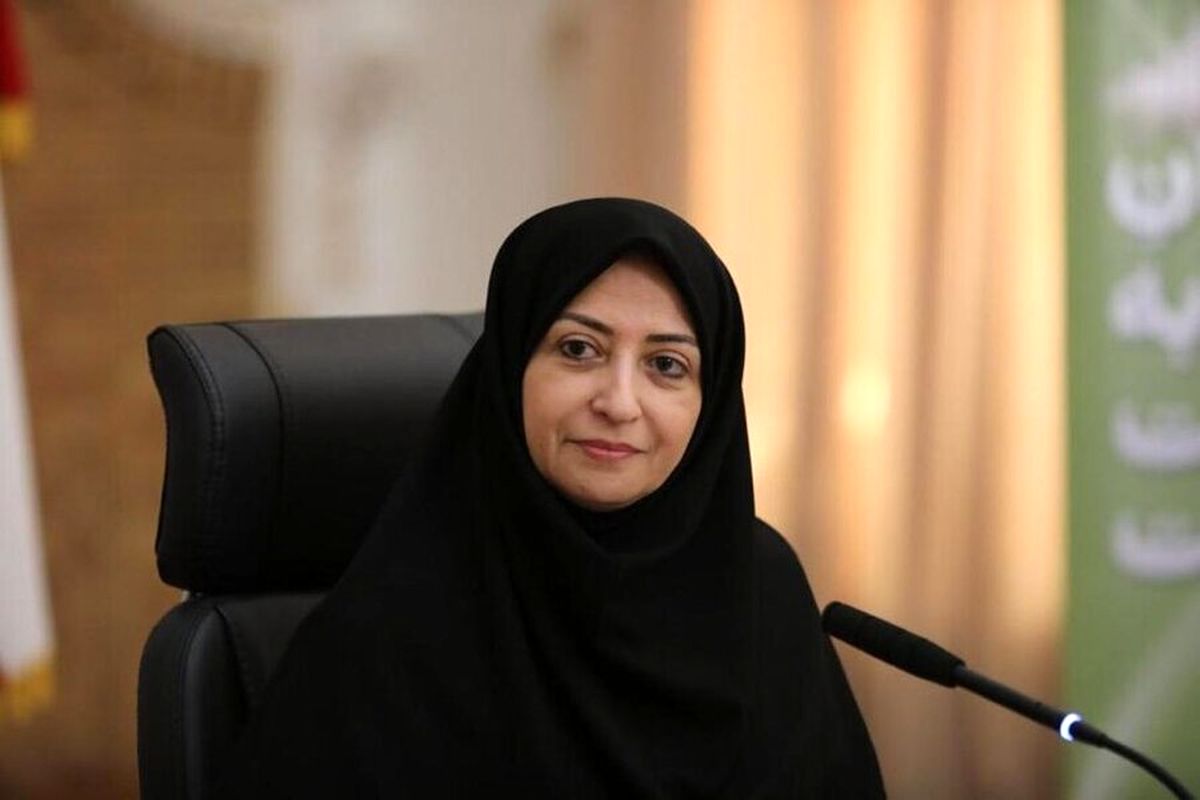 شینا انصاری رئیس سازمان حفاظت از محیط زیست