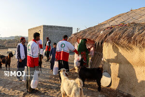 طرح نذر خدمت ۸