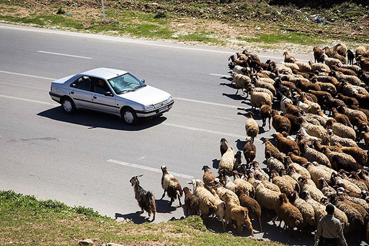 کوچ عشایر لرستان
