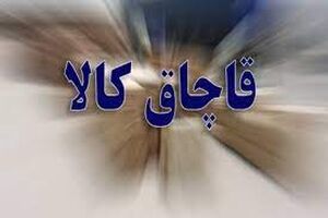 کشف محموله 50 میلیاردی کالای قاچاق از یک کامیون در شهرضا