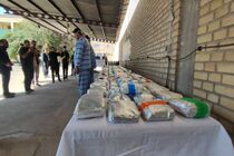 پلیس تهران فروشنده قارچ‌های توهم‌زا با ۲ هزار دنبال‌کننده اینستاگرامی را دستگیر کرد