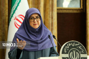 سخنگوی دولت روز ارتش را تبریک گفت