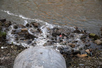 برنامه‌ریزی برای احیای رودخانه‌های رشت