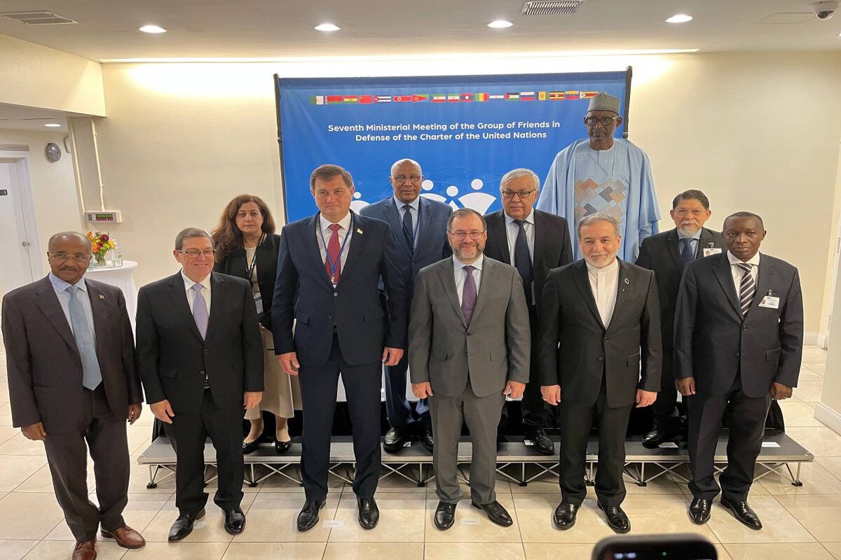 دوستان مدافع منشور ملل متحد
