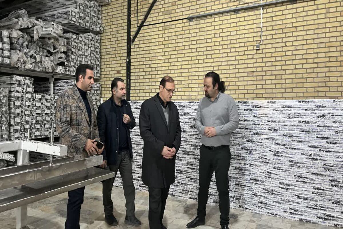مدیرکل تعاون و رفاه اجتماعی در بازدید از واحد تولیدی