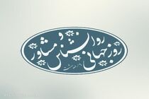 تأکید مدیرکل بهزیستی مازندران بر نقش روانشناسان در تقویت تاب‌آوری اجتماعی