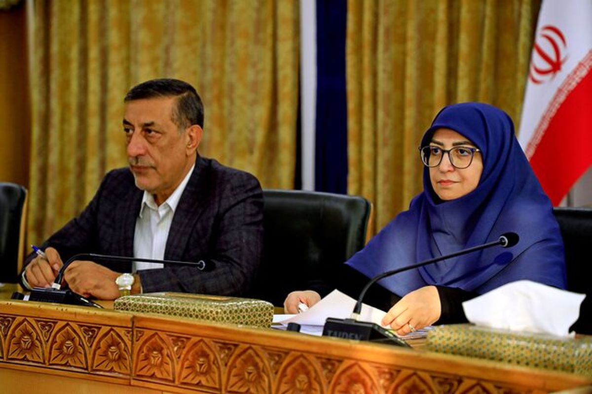 رئیس سازمان حفاظت از محیط زیست